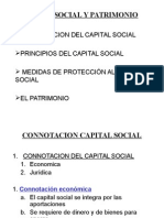 Capital Social y Patrimonio.