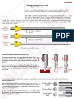 Anatomia Buriles