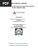 Download Axis bank by Malay Shah SN266610518 doc pdf