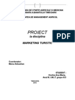 Proiect Marketing.docx 2014
