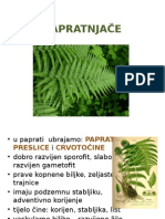 PAPRATNJAČE