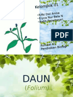 DAUN (Folium)