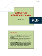 03 Struktur M. Plasma 2013 PDF