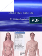 Dr.amin Digestive System