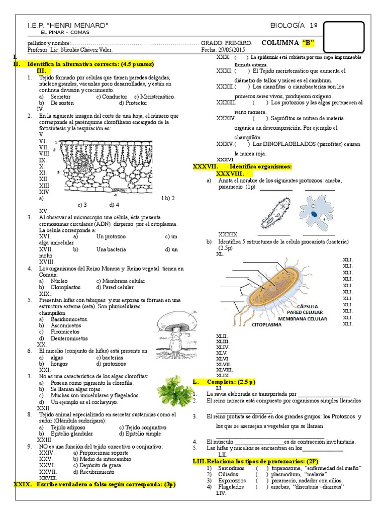 examen-de-biolog-a-1-secundaria-pdf-algas-plantas