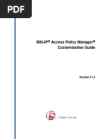 BIG-IP Access Policy Manager Customization Guide