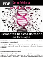 EVOLUÇÃO