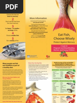 FISH Brochure
