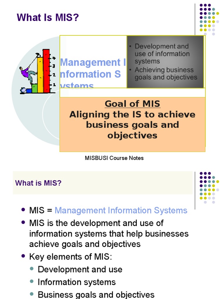 Introduction To Information System | PDF | Management Information ...