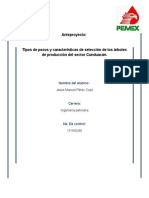 Tipos de Pozos y Características de Los Árboles de Producción Del Sector Cunduacán