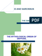 Echo and Narcissus: The Daffodil