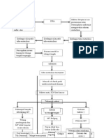 Patofisiologi Oma