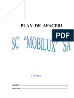 Plan de Afaceri