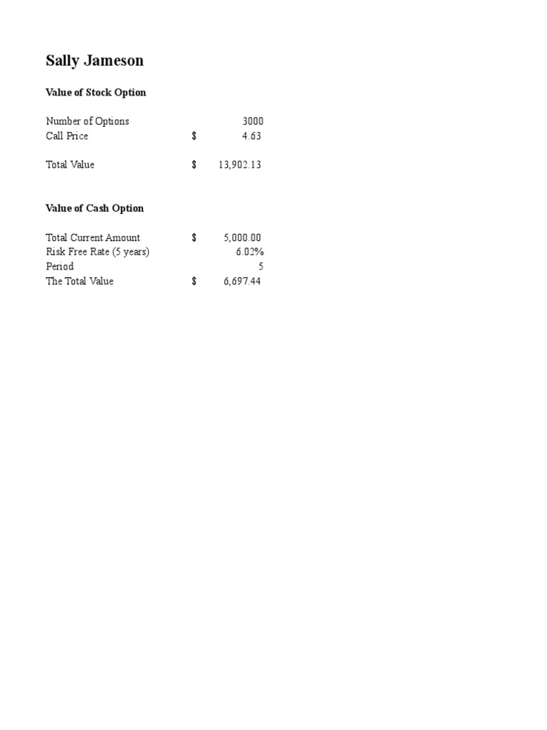 Sally jameson valuing stock options essay 04 picture