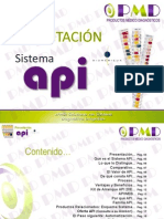 PRESENTACION API Ene2013 PDF