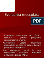 Evaluarea musculara