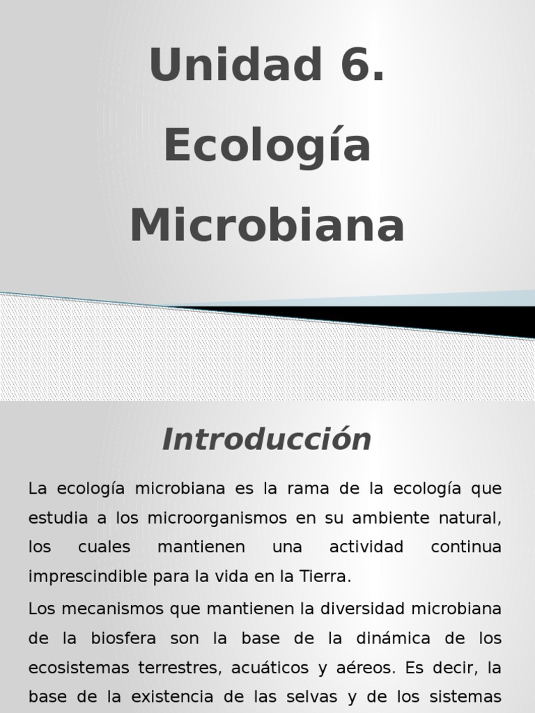 Fundamentos de Ecología Microbiana | PDF | Ecología | Selva