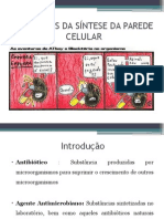 Inibidores Da Parede Celular Bacteriana