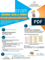 ImplementacionAuditoriaSGSST2014