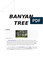 Banyan Tree