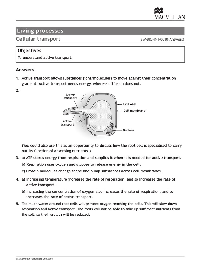 Active Transport Worksheet Answers Pdf