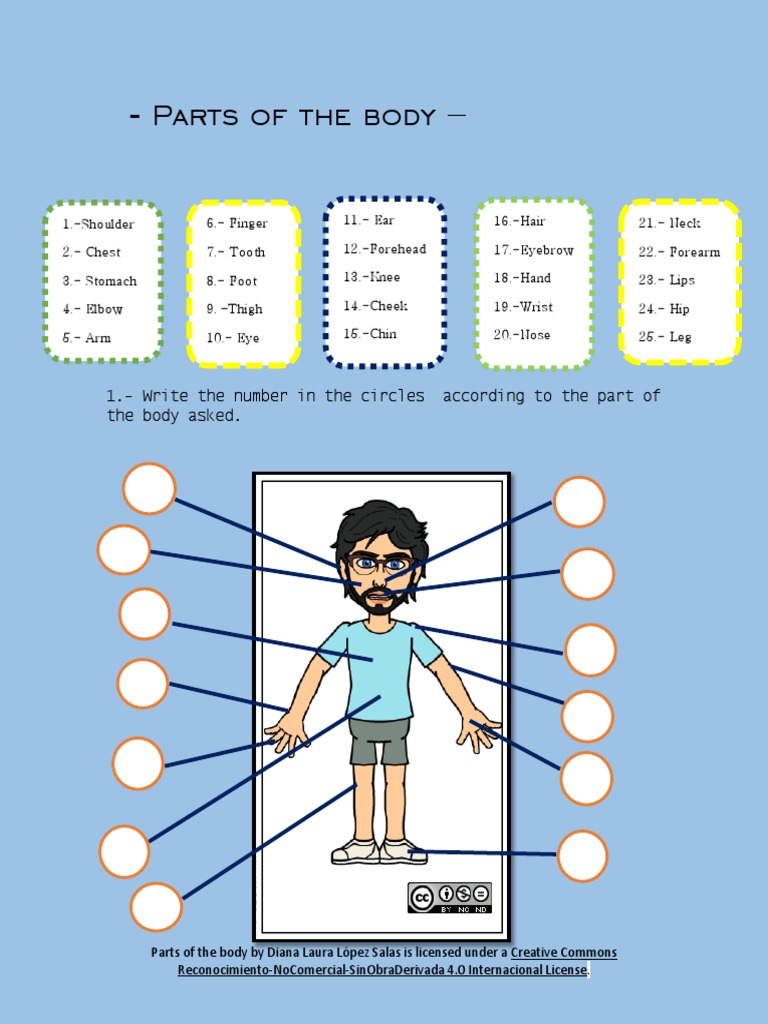 Body Parts Identification Worksheet | PDF