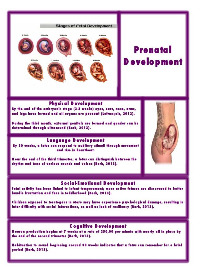 Prenatal | PDF