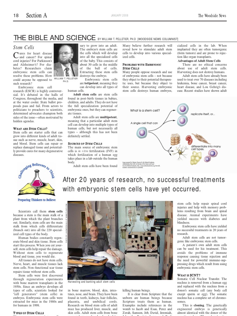2008.01 Stem Cells | PDF | Stem Cell | Embryonic Stem Cell