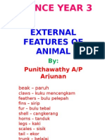Science Year 3: External Features of Animal