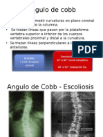 80499086-Angulo-de-Cobb.ppt