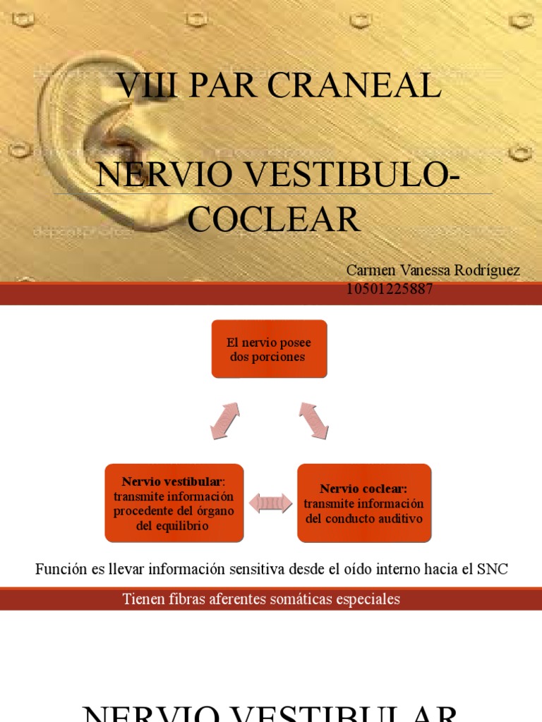 Nervio Vestibulococlear: Funciones y Exploración | PDF | Oído | Vértigo