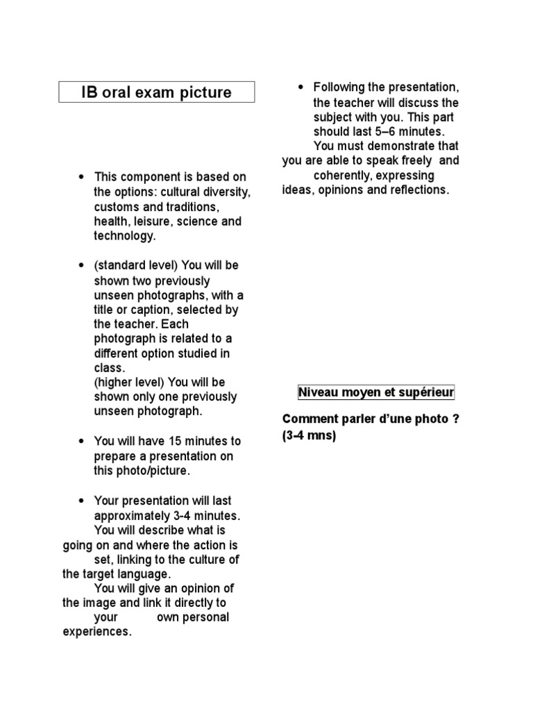 How To Describe And Analyse A Picture IB PDF