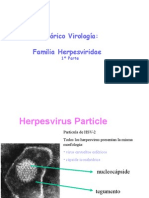 T17_herpesvirusI_2008.ppt