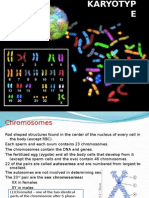 KARYOTYPE CHROMOSOME ANALYSIS