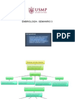 SEMINARIO3 FINAL EMBRIOLOGÍA (1).docx