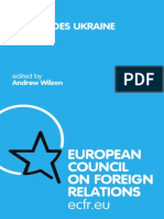 What Does Ukraine Think PDF