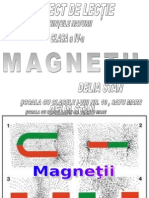 Proiect de Lectie Magnetii