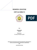 Herpes Zoster Oftalmikus