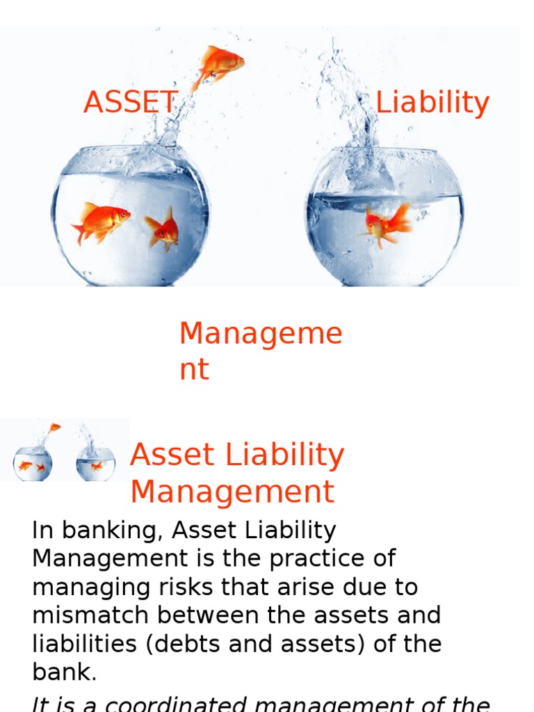 Asset Liability Management PDF Banks Foreign Exchange Reserves