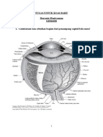 Tugas Koas Mata 
