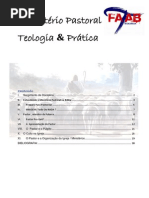 13. Ministrio Pastoral - Teologia e Prtica