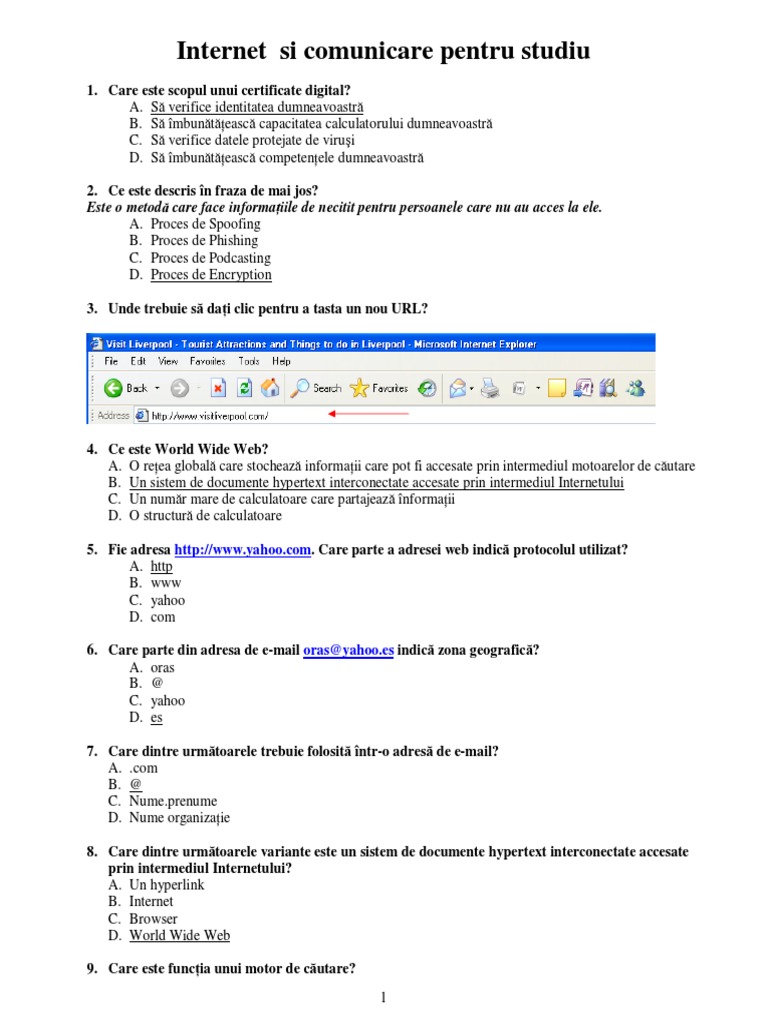 Internet Si Comunicare Pentru Studiu | PDF