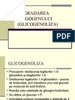 Degradarea Gligogenului (Glicogenoliza)