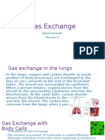 Respiration System