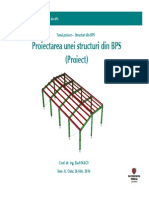 Tema Proiect - Prezentare BPS