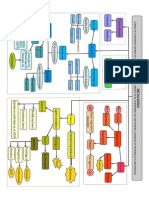 Esquema Mutaciones