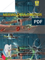 Nervio Osculomotor