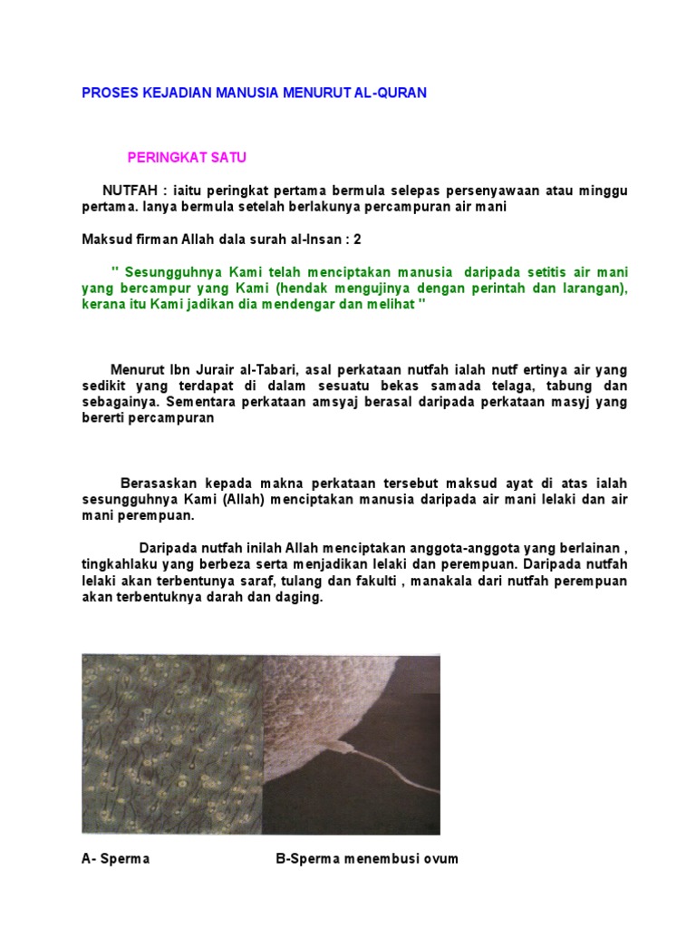 Proses Kejadian Manusia Pdf