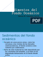 Sedimentos Del Fondo Oceánico