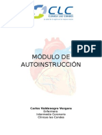 Módulo de Autoinstrucción - Carlos Valdenegro v. - Enfermero IC